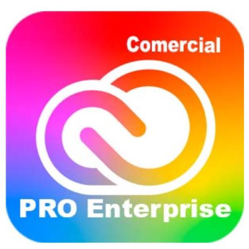 Adobe Creative Cloud All Apps - Edition 4 for enterprise - Nuovo abbonamento (1 anno) - 1 utente - GOV - Adobe Value Incentive Plan (VIP) Marketplace - Livello 1 (1-9) - Win, Mac - Multi European Languages